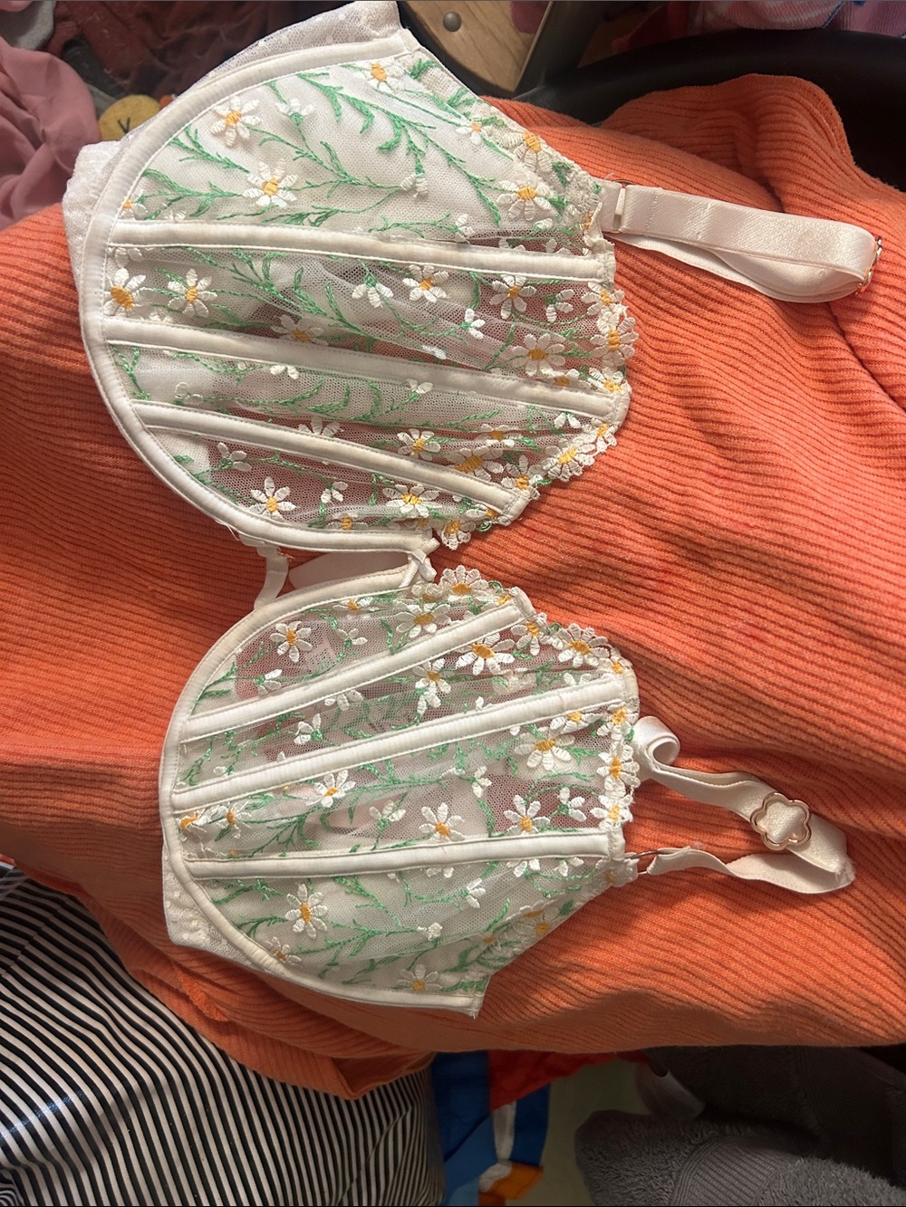 Victoria’s Secret Embroidered Floral Mesh Bra in Cream
